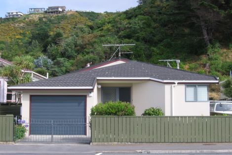 Photo of property in 44 Derwent Street, Island Bay, Wellington, 6023