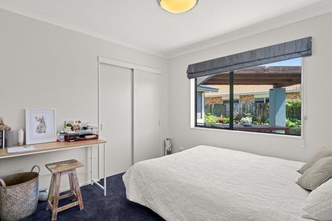 Photo of property in 233 Gloucester Road, Mount Maunganui, 3116
