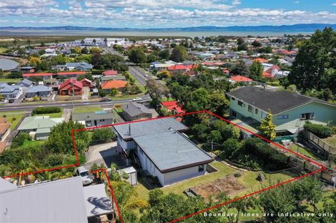 Photo of property in 105a Brunton Crescent, Thames, 3500