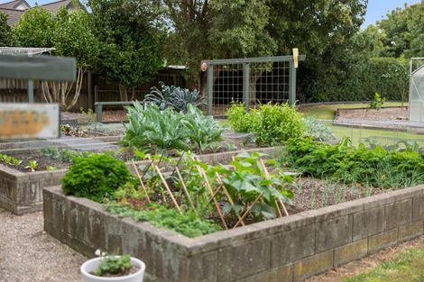 Photo of property in 74 Raukawa Drive, Bethlehem, Tauranga, 3110