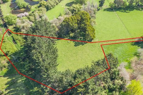 Photo of property in 82 Jacksons Road, Koputaroa, Shannon, 5575