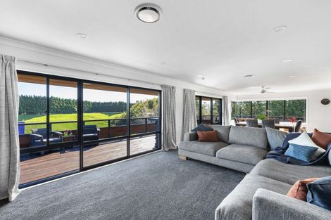 Photo of property in 354 Henwood Road, Hillsborough, New Plymouth, 4372