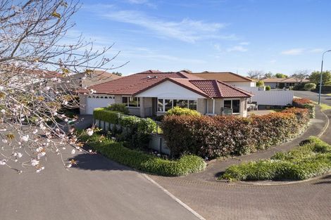 Photo of property in 13 Gleneagles Drive, Aongatete, Katikati, 3178