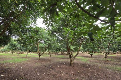 Photo of property in 244 Beach Road, Katikati, 3178