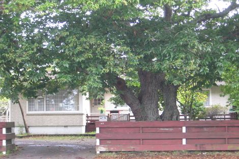 Photo of property in 48 Swanson Road, Henderson, Auckland, 0610