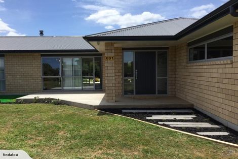 Photo of property in 1 Shrewsbury Place, Katikati, 3129