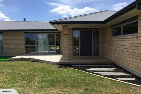 Photo of property in 1 Shrewsbury Place, Katikati, 3129