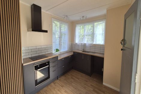 Photo of property in 66 Domett Street, Westport, 7825