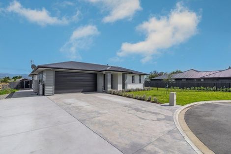 Photo of property in 10 Old Orchard Road, Solway, Masterton, 5810