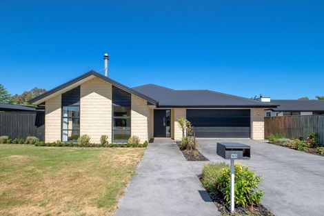 Photo of property in 165 Lowes Road, Rolleston, 7614