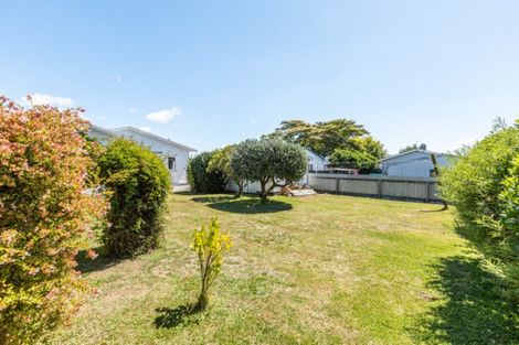 Photo of property in 402 Massey Street, Akina, Hastings, 4122