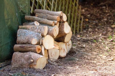 Photo of property in 598c Wright Road, Aongatete, Katikati, 3181