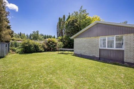 Photo of property in 17 Te Iwiheke Place, Turangi, 3334