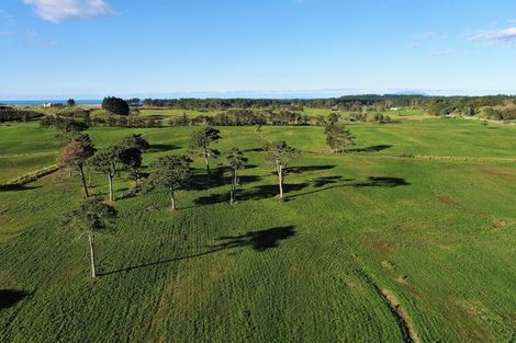 Photo of property in 213 Black Swamp Road, Mangawhai, Wellsford, 0975