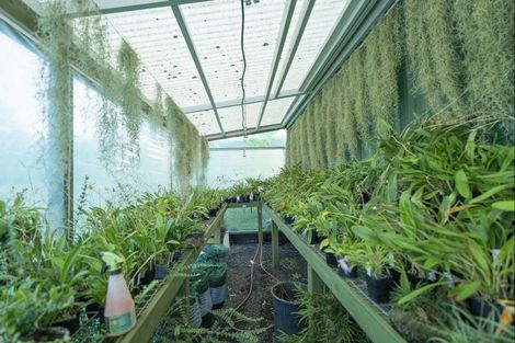 Photo of property in 50b Paul Road, Whenuakite, Whitianga, 3591