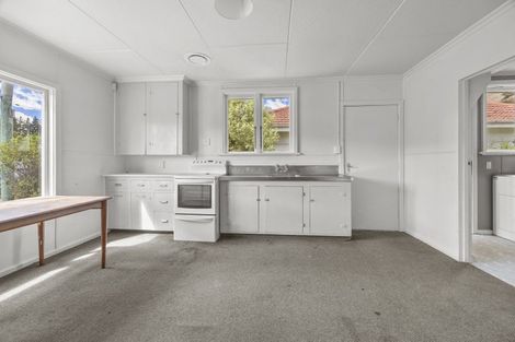 Photo of property in 15 Smith Street, Roxburgh, 9500