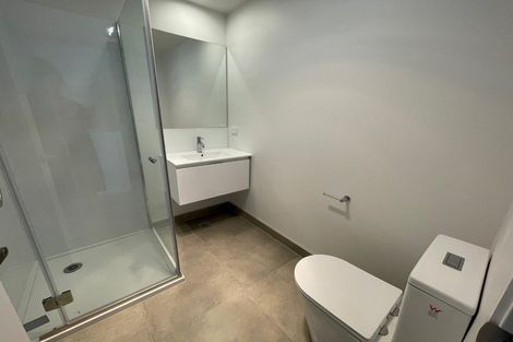 Photo of property in 40 Clay Works Lane, New Lynn, 0600