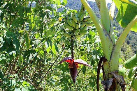 Photo of property in 71 Stunnell Road, Otaika, Whangarei, 0170