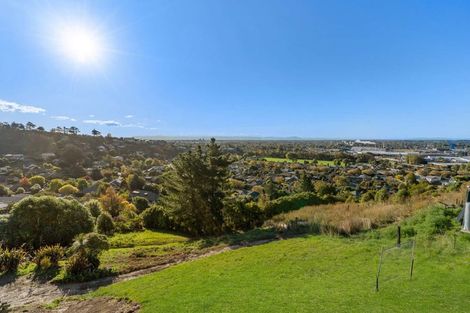 Photo of property in 17 Stronsay Lane, Hillsborough, Christchurch, 8022