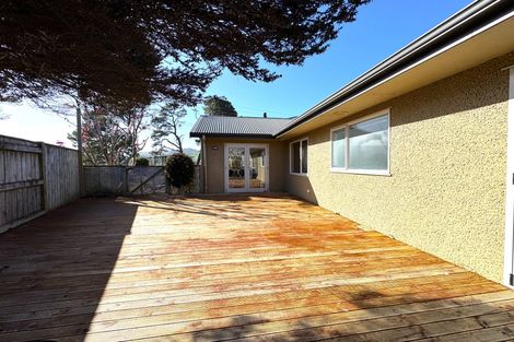 Photo of property in 207 Salisbury Street, Ashhurst, 4810