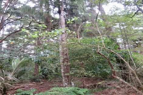 Photo of property in 504b Wairere Road, Maungaturoto, 0571