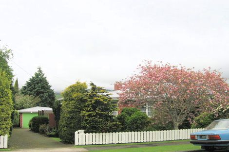 Photo of property in 13 Albert Street, Paeroa, 3600
