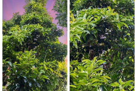 Photo of property in 38 Revell Drive, Ohauiti, Tauranga, 3112