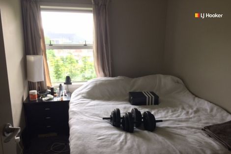 Photo of property in 34 Sutherland Street, Dunedin Central, Dunedin, 9016