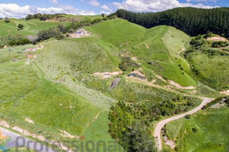 Photo of property in 1377e Manawahe Road, Manawahe, Whakatane, 3194