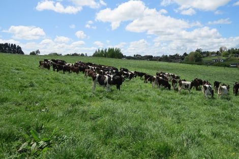 Photo of property in 58 Ryburn Road, Ohaupo, 3883