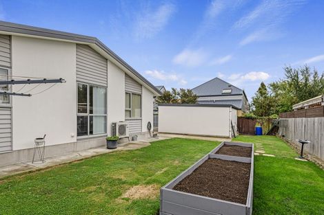 Photo of property in 4/88 Sherborne Street, St Albans, Christchurch, 8014