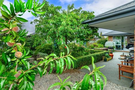 Photo of property in 79 Acacia Avenue, Rangiora, 7400