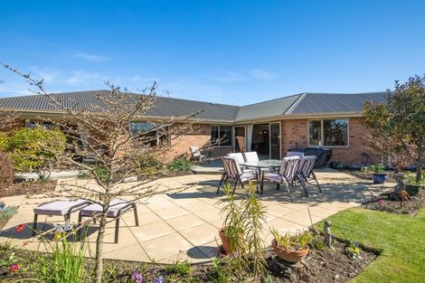 Photo of property in 8 Landau Place, Redwoodtown, Blenheim, 7201