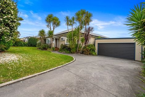 Photo of property in 13 Belvedere Street, Te Puke, 3119
