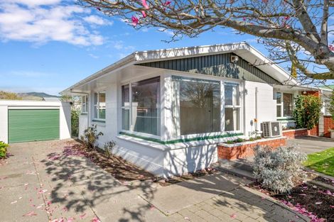 Photo of property in 1/113 Maxwell Road, Blenheim, 7201