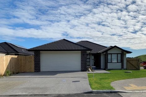 Photo of property in 8 Tapuhikura Street, Waikanae, 5036