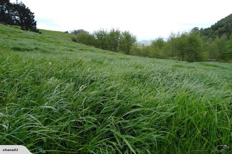 Photo of property in 225 Ngatitangata Road, Waihi, 3681