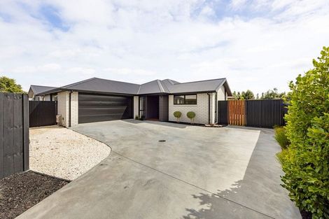 Photo of property in 17 Kereruu Street, Cambridge, 3434