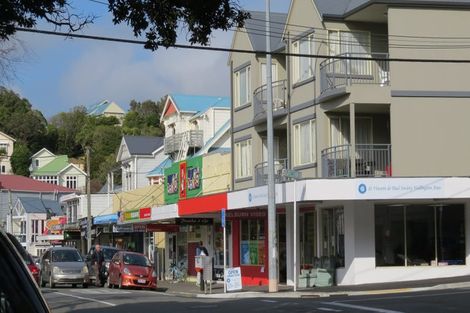 Photo of property in 13 Plunket Street, Kelburn, Wellington, 6012