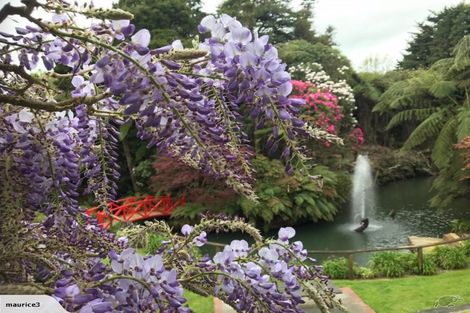 Photo of property in 126 Brecon Road, Stratford, 4332