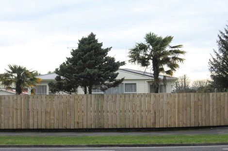 Photo of property in 195 Clarkin Road, Fairfield, Hamilton, 3214