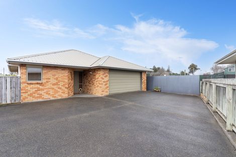 Photo of property in 143b Dixon Street, Masterton, 5810