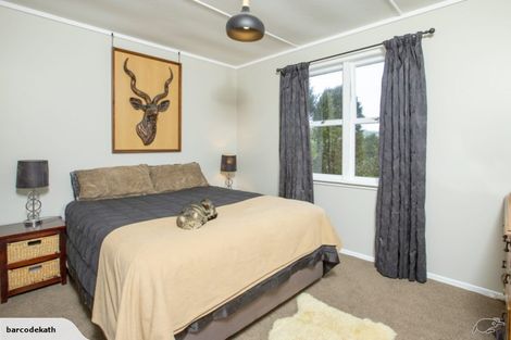 Photo of property in 667 Kaiwaka-mangawhai Road, Hakaru, Wellsford, 0975