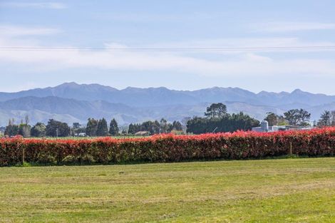 Photo of property in 302 Para Road, Parkvale, Carterton, 5792