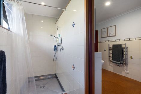 Photo of property in 969 Waingaro Road, Glen Massey, 3793