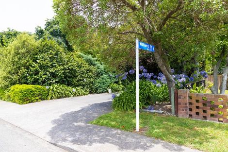 Photo of property in 806e Williams Street, Mahora, Hastings, 4120