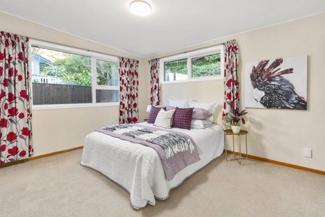 Photo of property in 41 Halifax Street, Kingston, Wellington, 6021