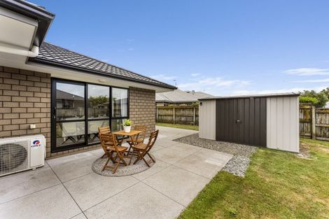 Photo of property in 13 Barry Curtis Place, Levin, 5510