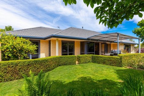 Photo of property in 46 Endeavour Street, Riversdale, Blenheim, 7201