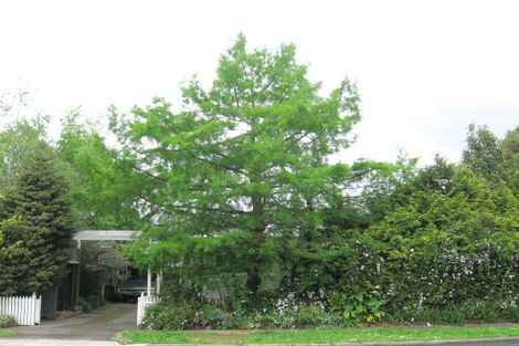 Photo of property in 15 Albert Street, Paeroa, 3600